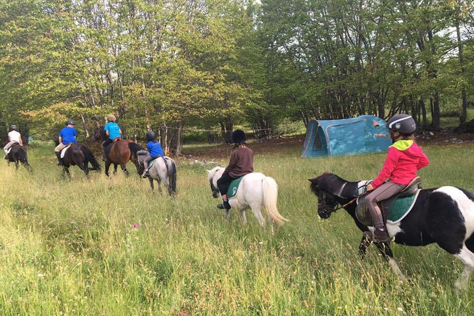 Pony Summer Camp - In natura